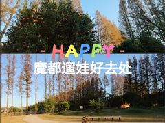-前小桔亲子创意农场·草莓采摘·露营烧烤