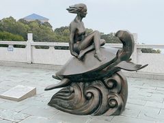 -广东惠东海龟国家级自然保护区