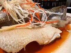 清蒸鲈鱼-院8里·小聚园(九眼桥店)