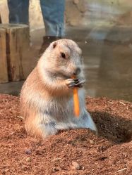 -Zoolung Zoolung动物主题公园(海信广场店)