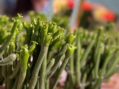 -KKV(深圳宏发大仟里店)