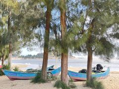 -阿弟特色海鲜餐厅·大排档(平潭店)