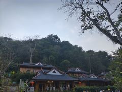 -野象谷景区