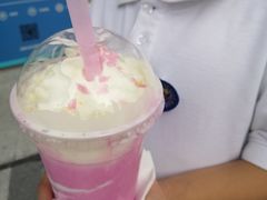 -飞行喵MR PILOT|猫舍·猫咖(静安大融城店)