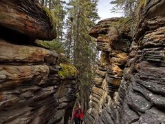 -阿萨巴斯卡瀑布观景点