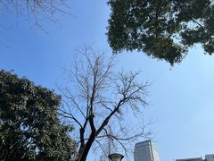 -常州古运河南大街文化旅游区-人民公园