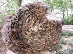 android_upload_pic-北京市海淀外国语实验学校