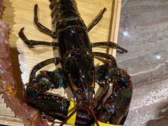 -松临·铁板烧&Omakase(神农店)