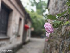 -惠山古镇·寄畅园