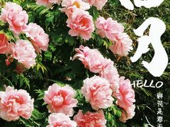 -国家植物园