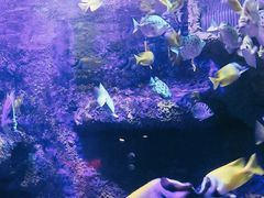 -太平洋海底世界