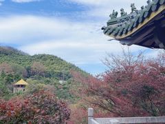 -莫干山风景区