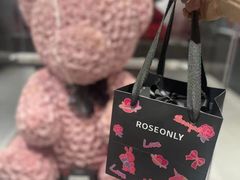 -ROSEONLY诺誓(广州K11店)