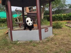 -杭州野生动物世界