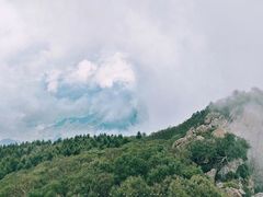 -白草畔自然风景区