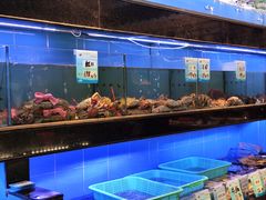 -渔傅印象滩涂霞浦海鲜(井大路店)