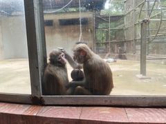 -广东茂名森林公园