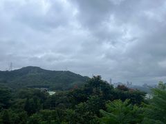-深圳仙湖植物园