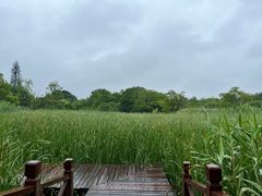 -梁鸿国家湿地公园