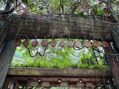 -西双版纳原始森林公园