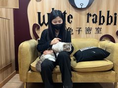 -白兔子密室(长寿路店)