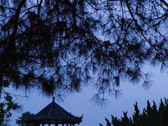-东湖落雁景区