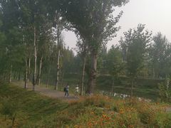 -东郊湿地公园