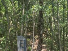 -祁门牯牛降观音堂风景区