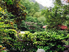 -黄山温泉国际旅游度假区