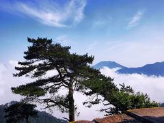 -含鄱口