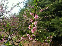 -大连富丽华大酒店