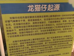 -龙猫仔乐园(惠福东路店)