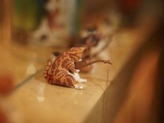 -鞠橘居酒屋(仁恒江湾新天地店)