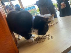 -兄弟鸡排.芋泥香酥鸭(淮海街店)