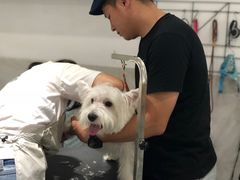 -Oh My Dog宠物沙龙(伊珊娜皮毛护理店)