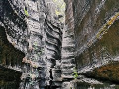 -梭布垭石林景区