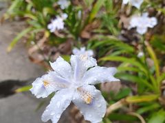 -仙海旅游度假区