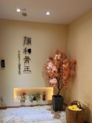 -颜和骨正·明哲式骨相美学整骨