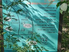 -北京西山国家森林公园