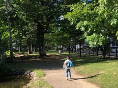 -北海道厅旧本厅舍(旧本庁舎)