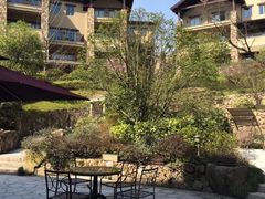 -浙江安吉JW万豪酒店·万豪中餐厅