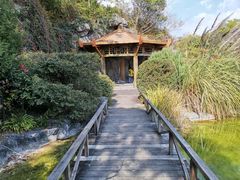 -上海吴淞炮台湾国家湿地公园
