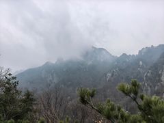 -王顺山国家森林公园