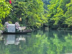 -石台牯牛降景区