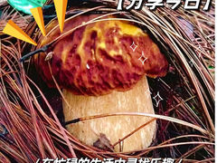-欧记·龙城港(欣都龙城店)