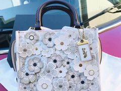 -COACH蔻驰(恒隆广场店)