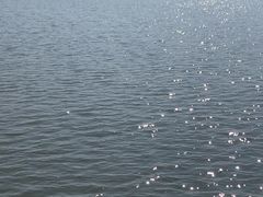 -东钱湖小普陀景区