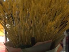 -宁波杉井奥特莱斯广场