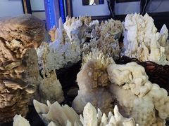 -游龙石文化科普馆