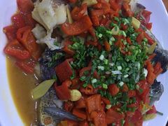 -全乐鱼馆·淳牌有机鱼直营店
